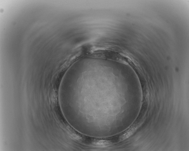 X0000073700467200608101818