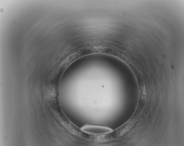 X0000073700472200608101818