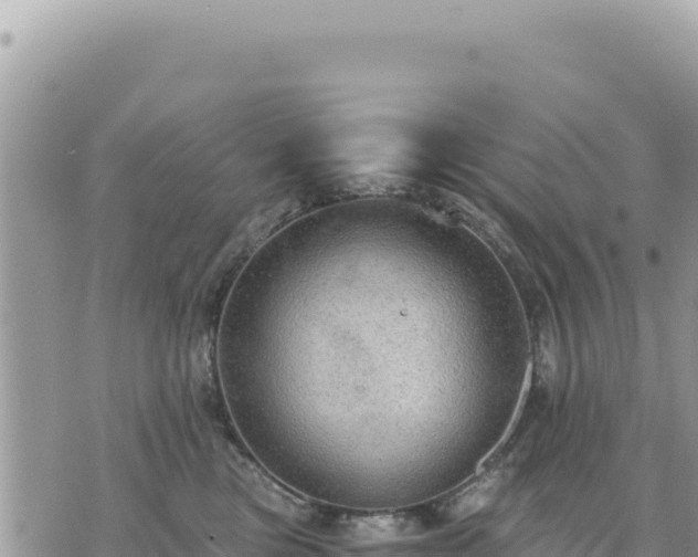 X0000073700473200608101818