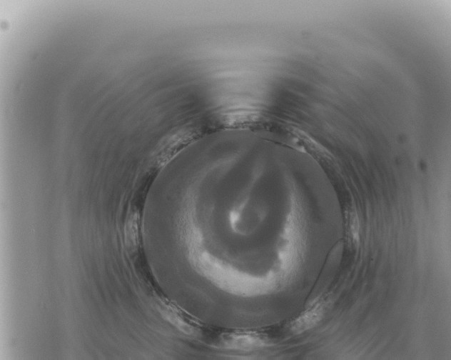 X0000073700475200608101818