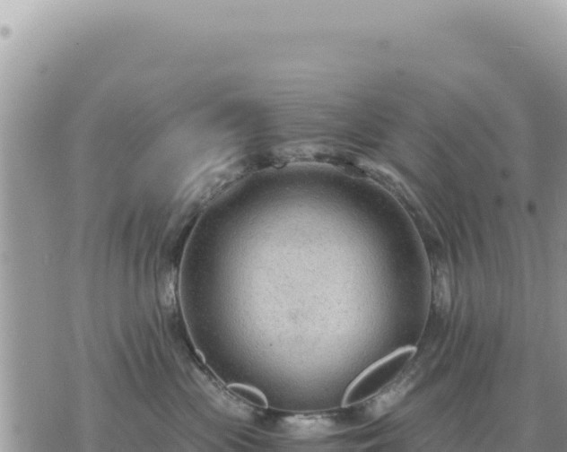 X0000073700477200608101818