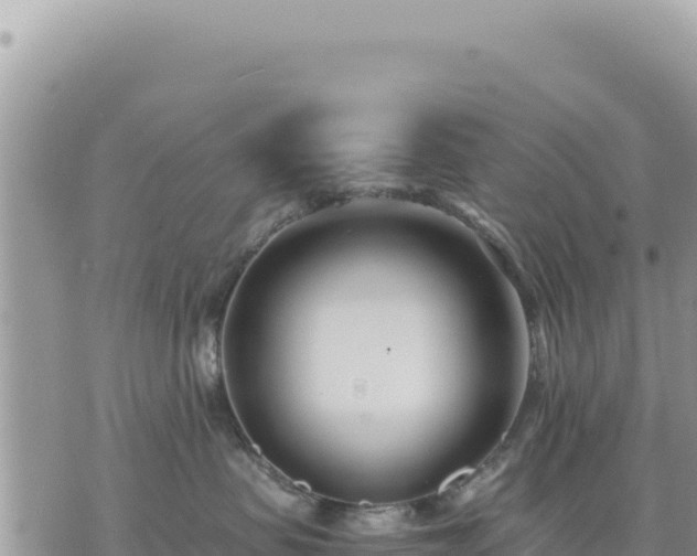 X0000073700479200608101818