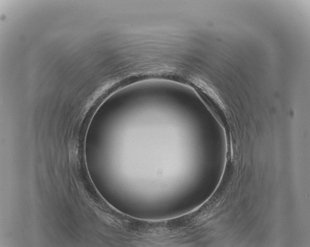 X0000073700483200608101817