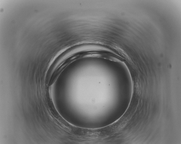 X0000073700484200608101817