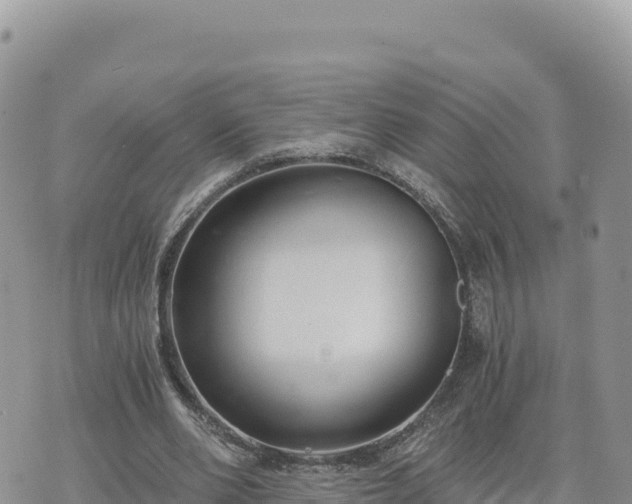 X0000073700486200608101817