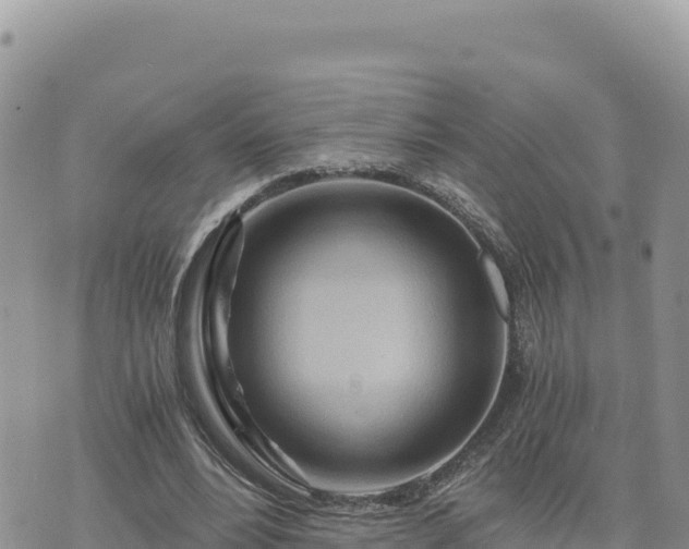 X0000073700488200608101817