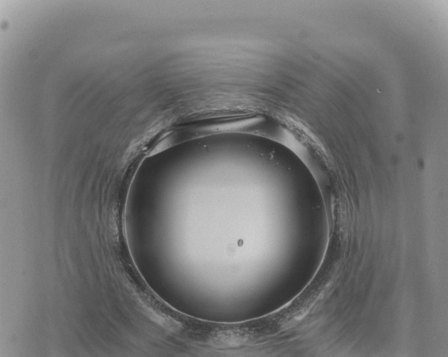 X0000073700489200608101817