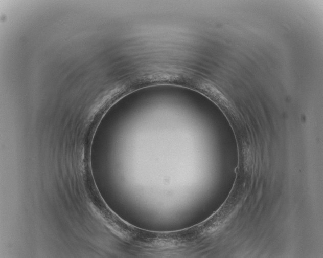 X0000073700490200608101817