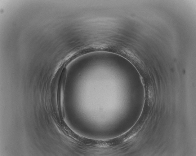 X0000073700492200608101817