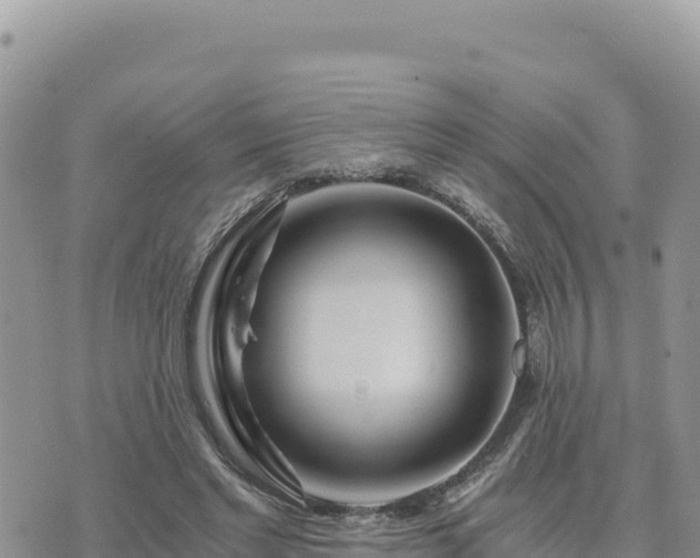 X0000073700493200608101817