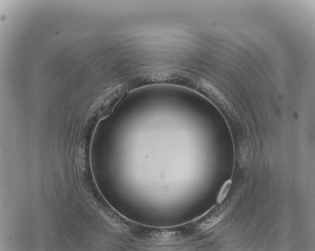 X0000073700497200608101817