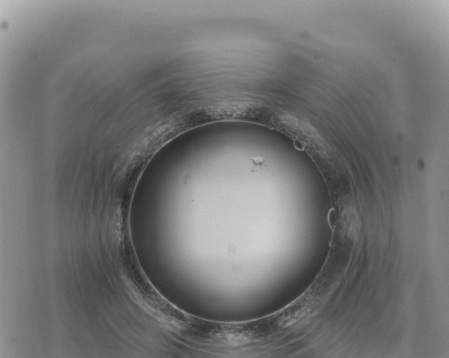 X0000073700498200608101817