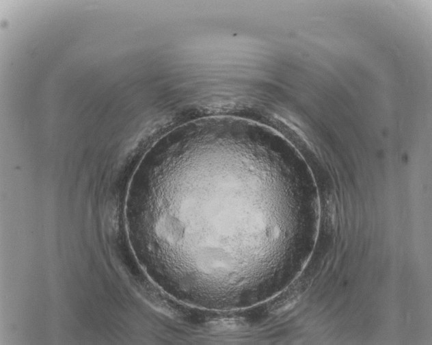 X0000073700499200608101817