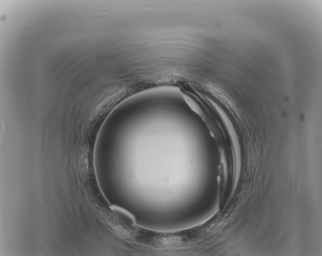 X0000073700501200608101817