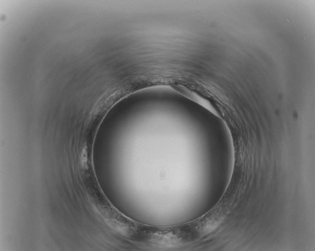 X0000073700502200608101817