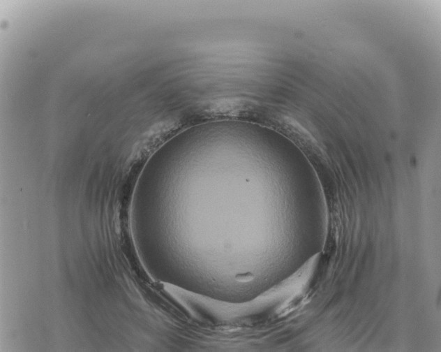 X0000073700504200608101817