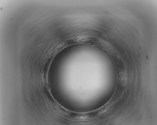 X0000073700506200608101817