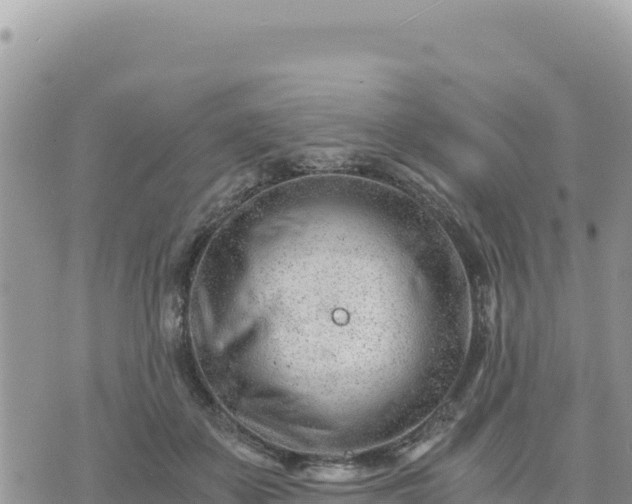 X0000073700507200608101817