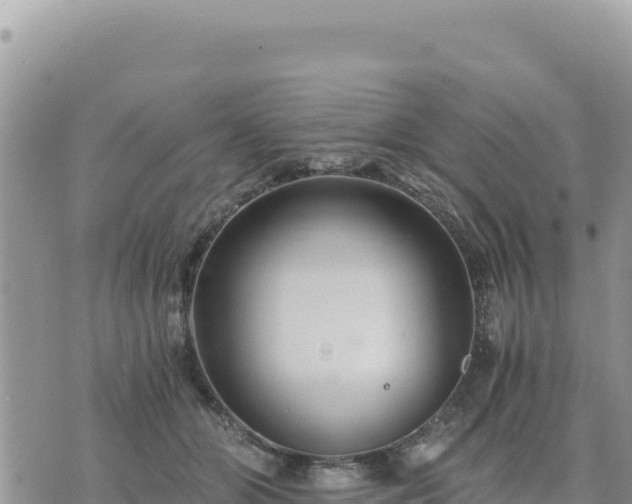 X0000073700510200608101817