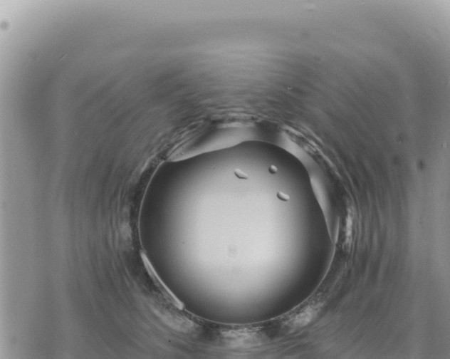 X0000073700516200608101817