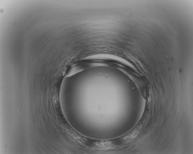 X0000073700517200608101817