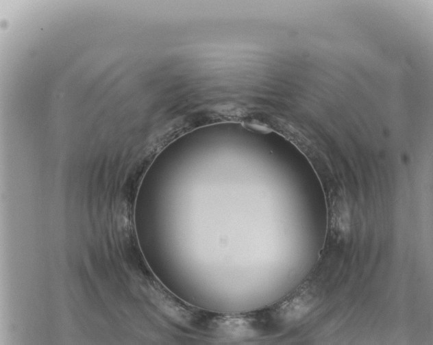 X0000073700518200608101817