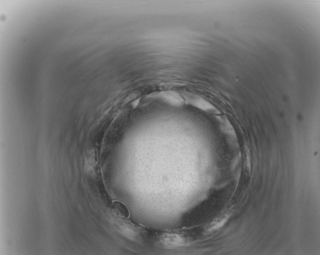 X0000073700519200608101817