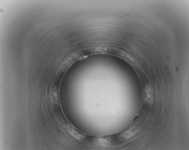 X0000073700522200608101817