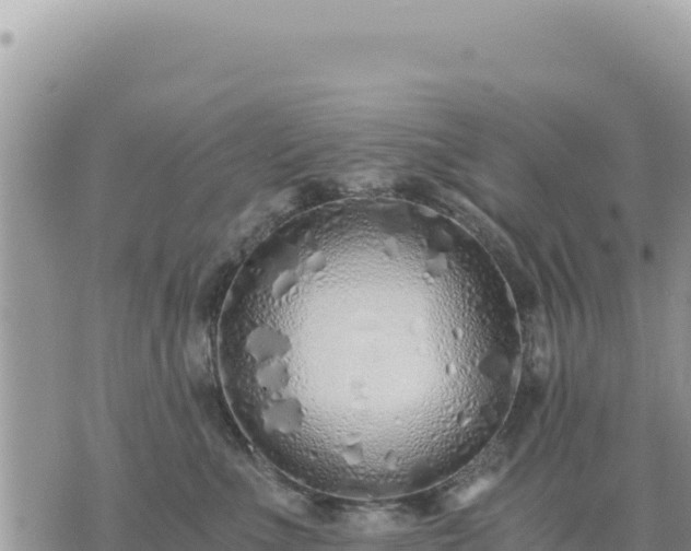 X0000073700523200608101817