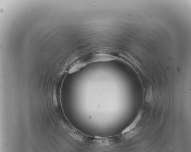 X0000073700524200608101817