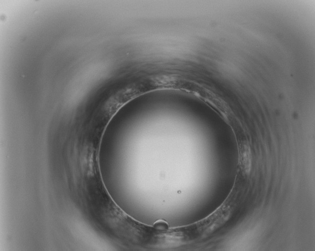 X0000073700525200608101816