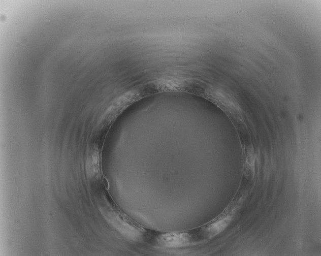 X0000073700526200608101816