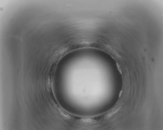 X0000073700528200608101816