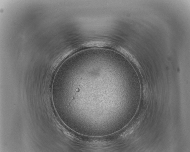 X0000073700529200608101816