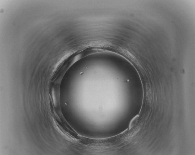 X0000073700530200608101816