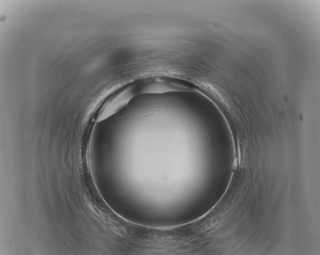 X0000073700531200608101816