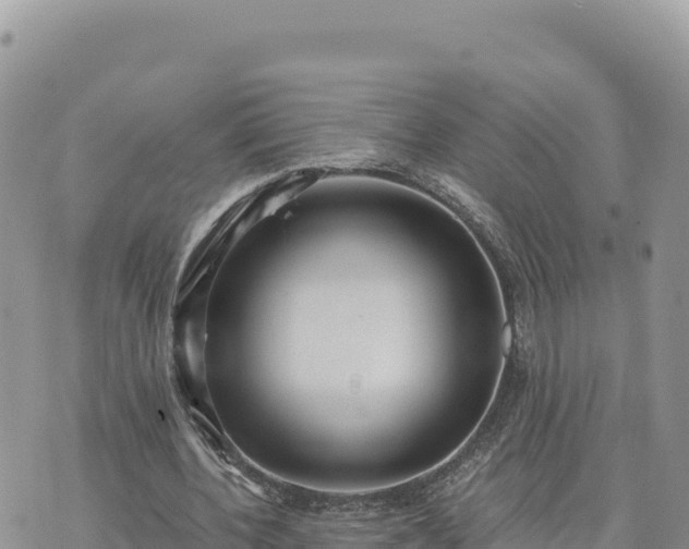 X0000073700532200608101816