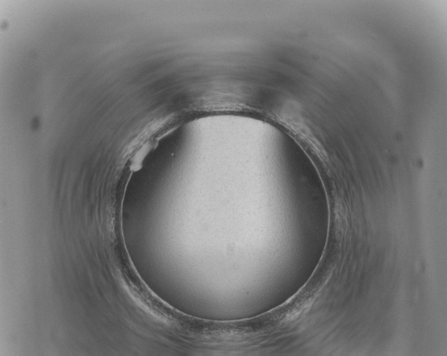 X0000073700533200608101816