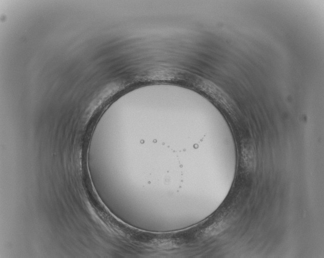 X0000073700534200608101816