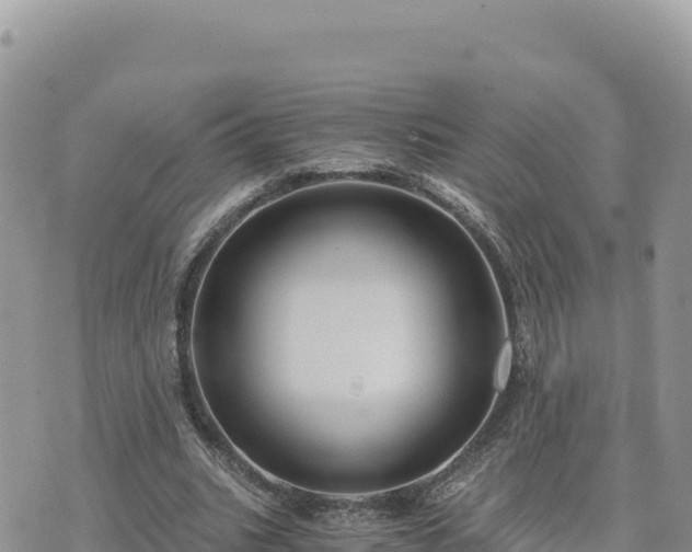 X0000073700535200608101816