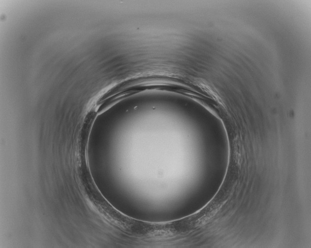 X0000073700536200608101816