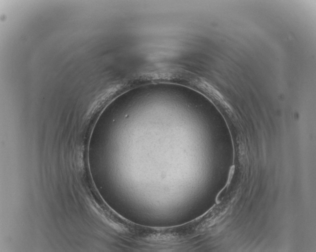 X0000073700537200608101816