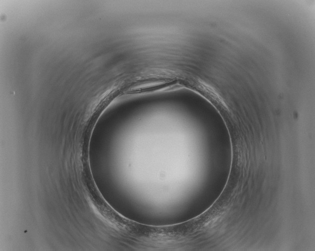 X0000073700538200608101816