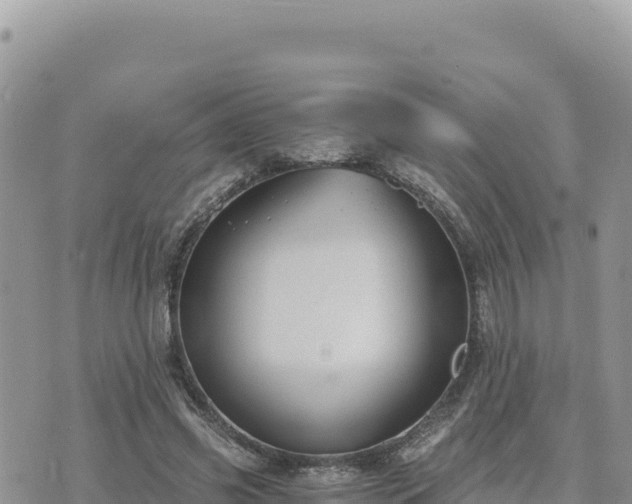 X0000073700541200608101816