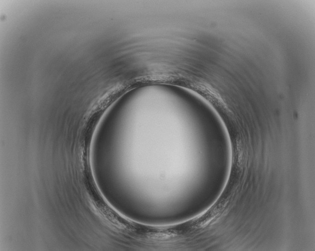 X0000073700542200608101816