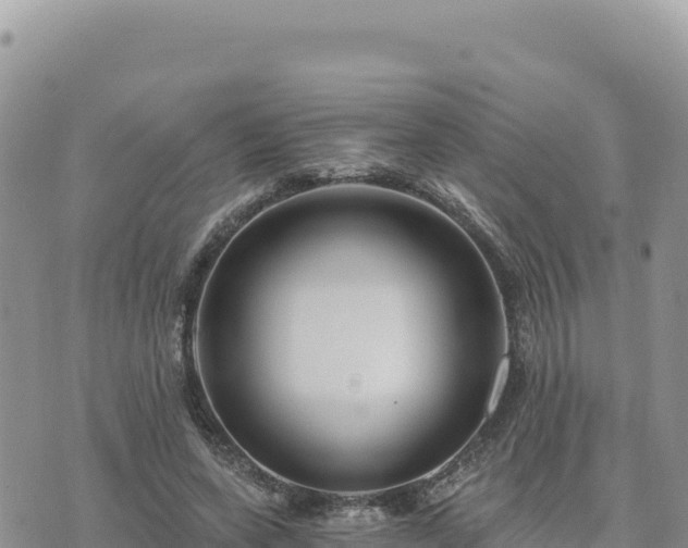 X0000073700543200608101816