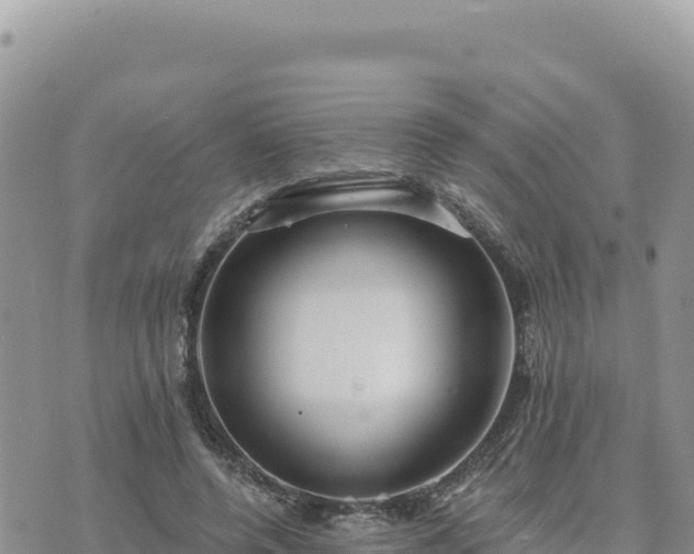 X0000073700544200608101816