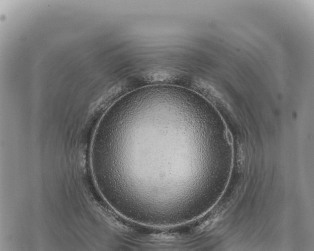 X0000073700545200608101816