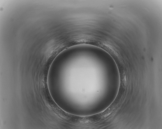 X0000073700547200608101816