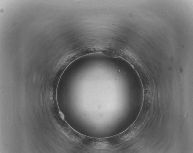 X0000073700548200608101816